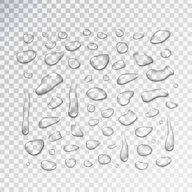 ilustrações de stock, clip art, desenhos animados e ícones de vector set of realistic isolated water droplets on the transparent background. - wet dew drop steam