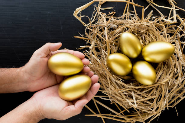 Nest Full Of Golden Eggs, Man holding a golden egg on black background. Financial success Nest Full Of Golden Eggs, Man holding a golden egg on black background. Financial success. best physical gold ira stock pictures, royalty-free photos & images
