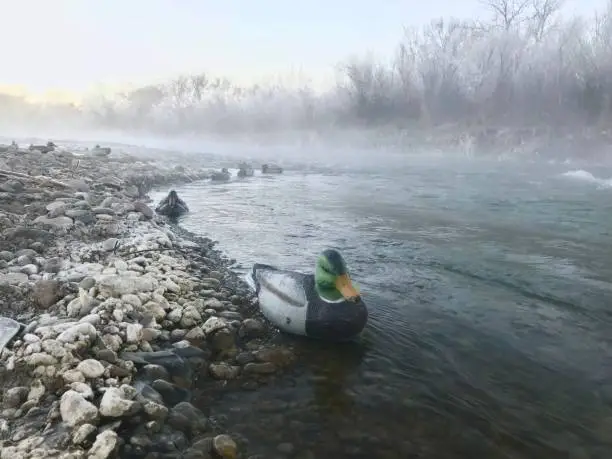 Photo of Western Colorado winter outdoor sports duck hunting