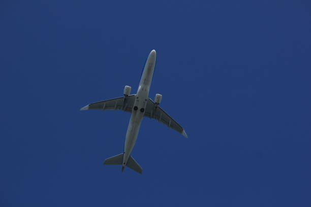 istock Bottom of an airplane 891189858