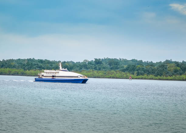 istock Cruise Ships Sailing on Water 891192322
