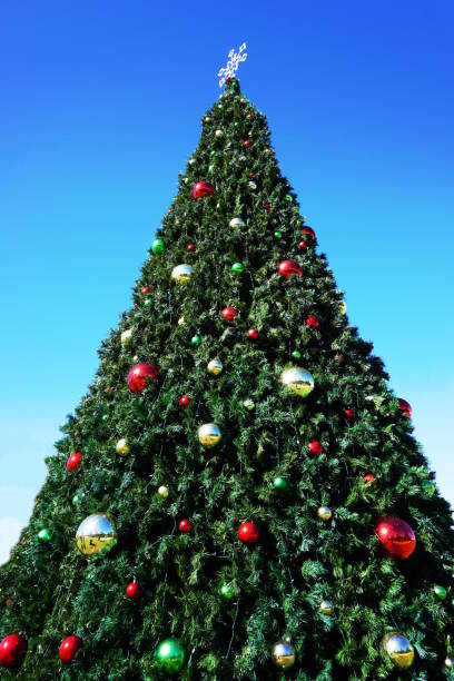 istock Huge outdoor Christmas tree 891195532