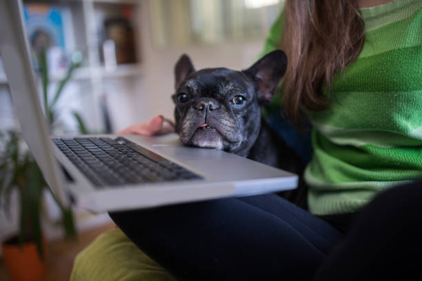 istock Woman and dog 891214650