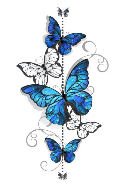 Vector illustration of Blue morpho and white butterfly