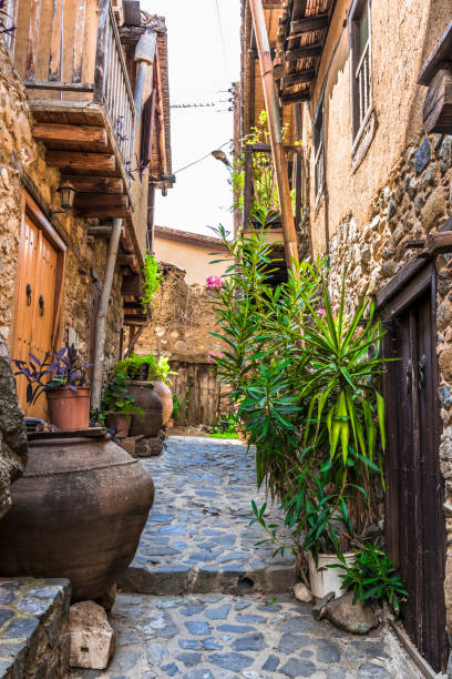 istock Old village in Troodos mountains 891226994