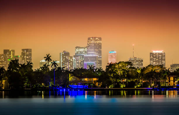 istock Miami skyline with palms by night, Florida 891236232