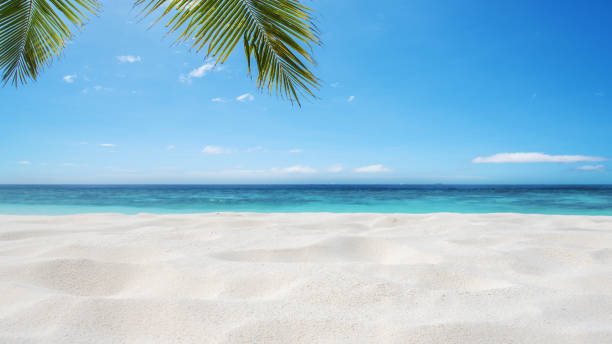 tropical sandy beach background - sand beach imagens e fotografias de stock