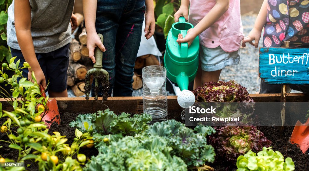 Groupe de maternelle enfants apprentissage jardinage à l’extérieur - Photo de Jardiner libre de droits