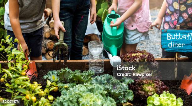 Group Of Kindergarten Kids Learning Gardening Outdoors Stock Photo - Download Image Now