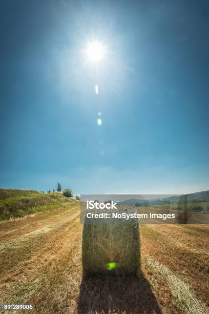4 Seasons Beautiful Tuscany Landscape Stock Photo - Download Image Now - Agricultural Field, Agriculture, Architecture