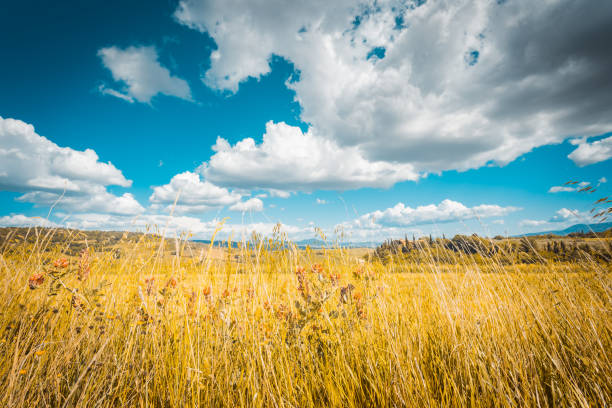 istock 4 Seasons. Beautiful Tuscany landscape. 891289176