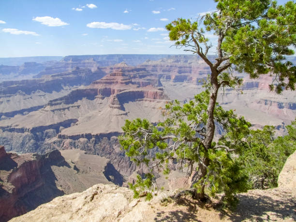 istock Grand Canyon in Arizona 891298014