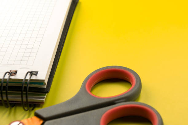 istock stationery accessories on a colored background 891309606