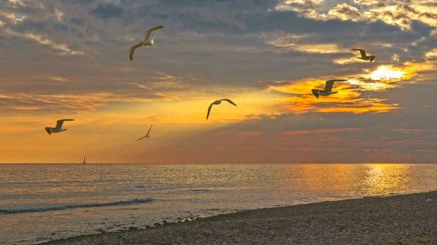 istock Colorful sunset over the ocean. 891309636