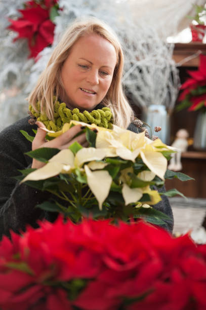 istock Female Florist at Christmas Time 891315390