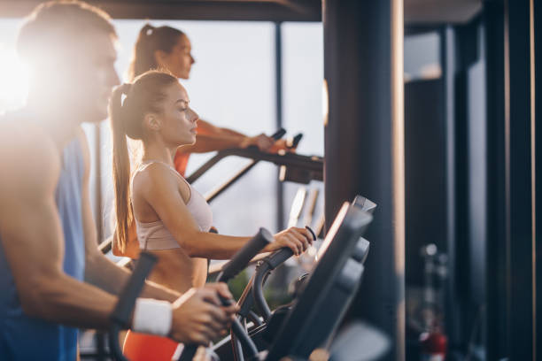 istock Athletic people warming up on exercise machines in a gym. 891318588