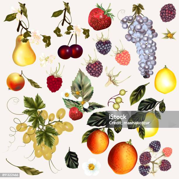 Mega Pack Of Vector Fruits And Berries Created In Vintage Style Stock Illustration - Download Image Now