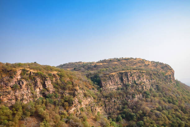 istock Landscape of Ranthambore, India. Lonely tree 891325198