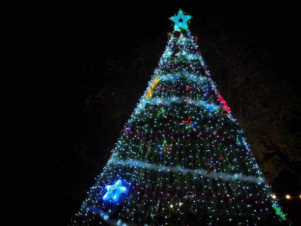istock Christmas tree decorated with colorful lights at night. 891325818