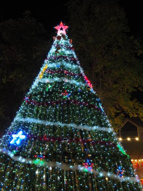 istock Christmas tree decorated with colorful lights at night. 891325956
