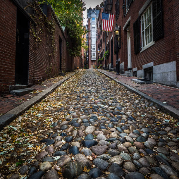 istock Acorn Street Boston 891340462