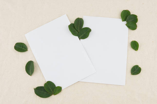 istock Two blank white cards decorated with green leaves 891344388