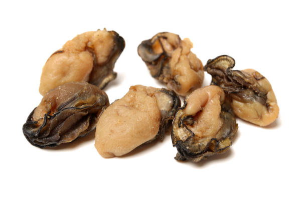 istock Dried  Healthy  Oysters on the white background 891345278