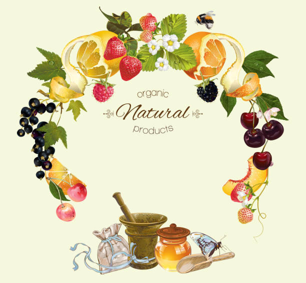 фруктово-ягодный баннер - tea berry currant fruit stock illustrations