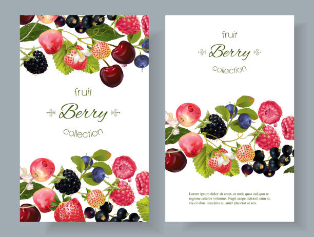 баннеры ягодного микса - tea berry currant fruit stock illustrations