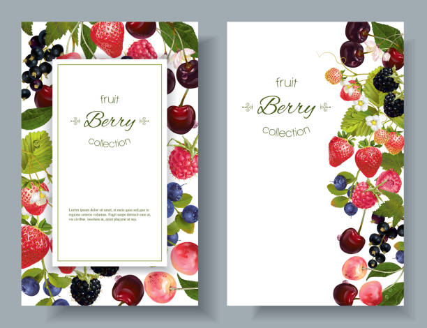 ilustrações de stock, clip art, desenhos animados e ícones de berry mix banners - tea berry currant fruit
