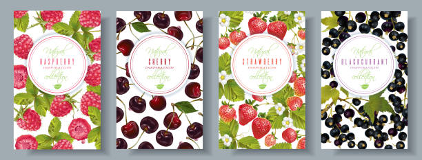 zestaw banerów jagodowych - raspberry berry fruit fruit backgrounds stock illustrations