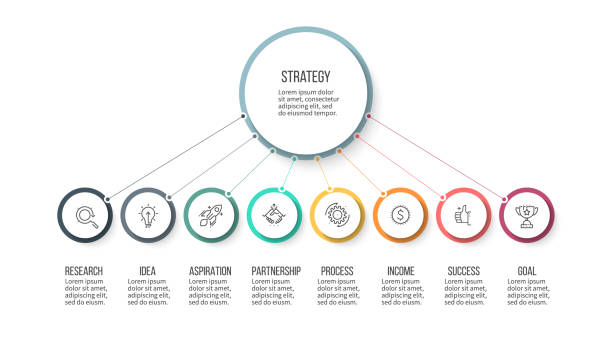 illustrations, cliparts, dessins animés et icônes de infographie de l’entreprise. organigramme hiérarchique avec 8 options. modèle vectoriel. - flow chart ideas organization chart chart