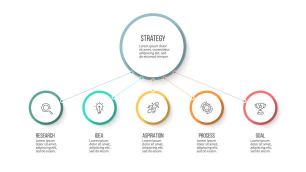 illustrations, cliparts, dessins animés et icônes de infographie de l’entreprise. organigramme hiérarchique avec 5 options. modèle vectoriel. - flow chart ideas organization chart chart