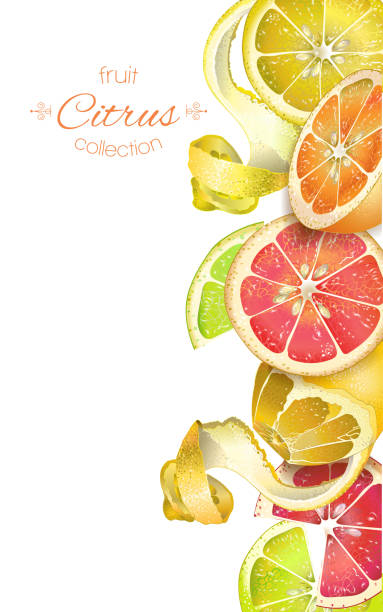 ilustrações de stock, clip art, desenhos animados e ícones de citrus vertcal banner - vertcal