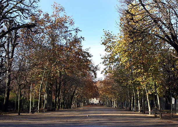 istock Paris, France, Park and Trees 89136699