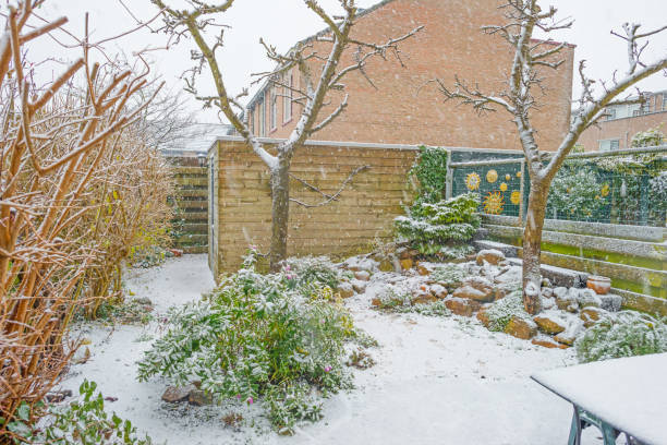 istock Rock garden with apple trees in snow in winter 891367256