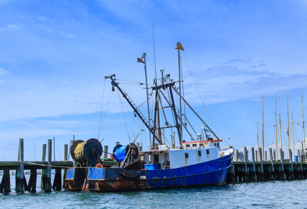 istock Blue and White Fishing Trawler 891367974