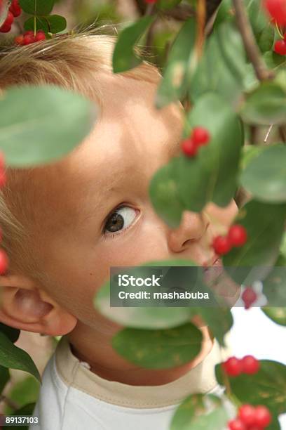 Photo libre de droit de Je Vois Que Vous banque d'images et plus d'images libres de droit de Apprentissage - Apprentissage, Baie - Partie d'une plante, Cheveux blonds