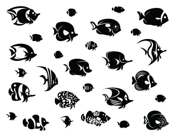 gruppo di pesci tropicali silhouette - illustrazione arte vettoriale