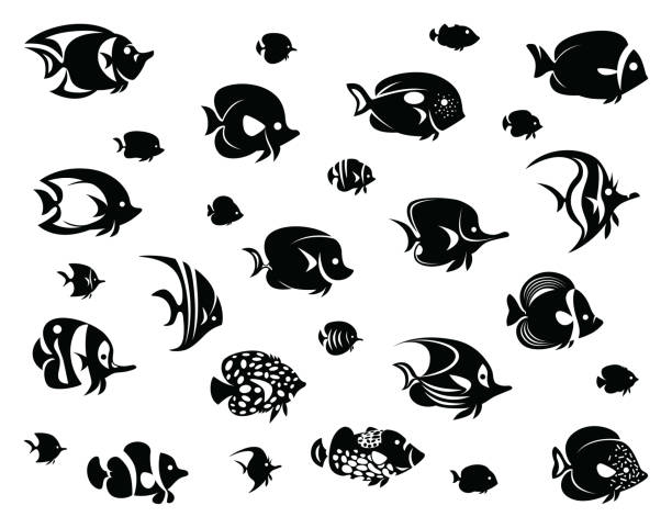 열 대 물고기의 실루엣의 그룹 - tropical fish clown fish isolated animal stock illustrations