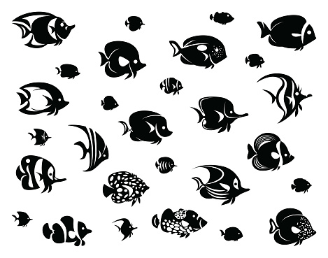 vector illustration of group of tropical fishes silhouette