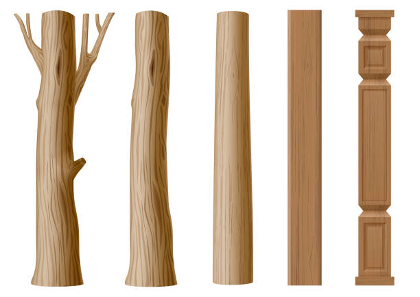 illustrazioni stock, clip art, cartoni animati e icone di tendenza di insieme di pilastri di legno - corteccia di legno