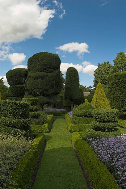istock English Country Garden 89137326