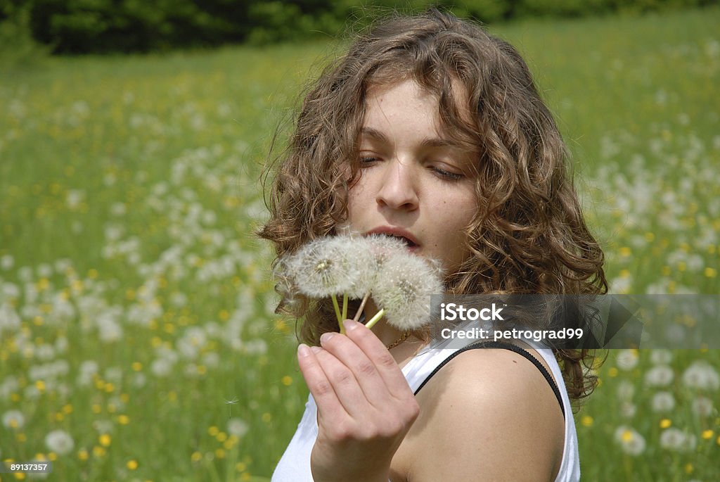 Три dandelions - Стоковые фото Вдыхать роялти-фри