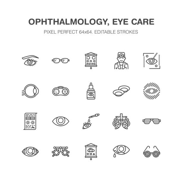 Ophthalmology, eyes health care line icons. Optometry equipment, contact lenses, glasses, blindness. Vision correction thin linear signs for oculist clinic. Pixel perfect 64x64 Ophthalmology, eyes health care line icons. Optometry equipment, contact lenses, glasses, blindness. Vision correction thin linear signs for oculist clinic. Pixel perfect 64x64. optometrist stock illustrations