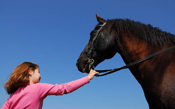 istock little girl and stallion 89137694