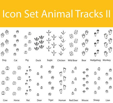 Drawn Doodle Lined Icon Set Animal Tracks II with 20 icons for the creative use in graphic design