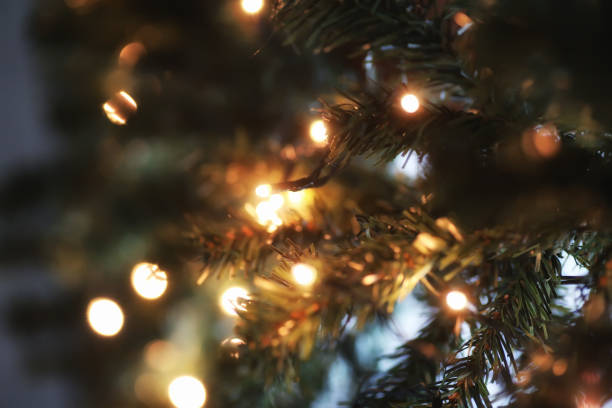 istock garland lights on fir tree branch blured background 891382412