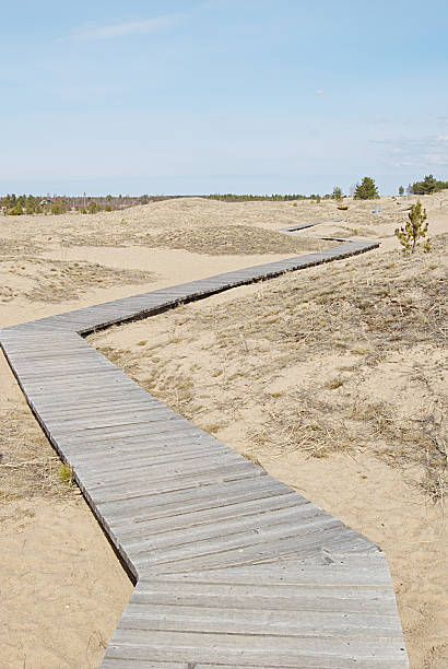 istock Winding wooden pathway at the beach. 89138420