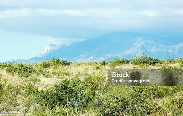 Photo libre de droit de Monts Guadalupe banque d'images et plus d'images libres de droit de Beauté - Beauté, Chaîne de montagnes, Colline